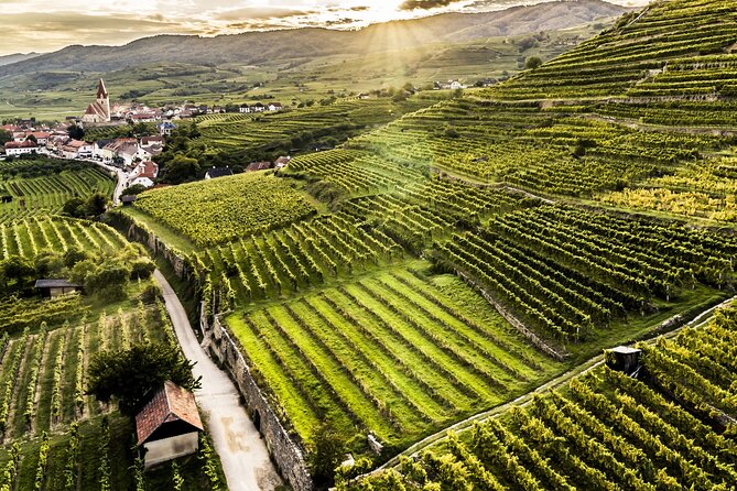 3 Castles & Wine Private Tour in Wachau Valley (incl. Melk Abbey) - The Lower Austria countryside drive: where the day gets quieter