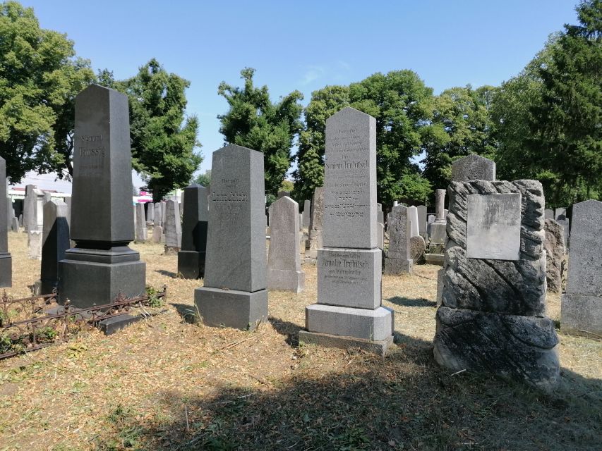 3-Hour Walking Tour of Vienna Central Cemetery - Karl Lueger Memorial Church: Art Nouveau details on the route