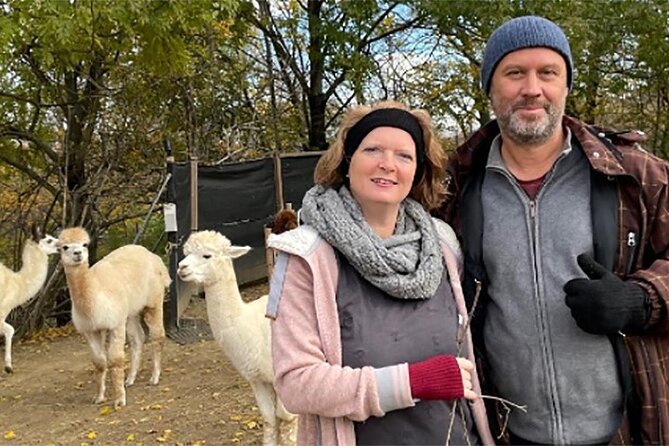 Alpaca and llama hike Moedling near Vienna - Getting to In den Messerern, 2340 Mödling (and what your start feels like)
