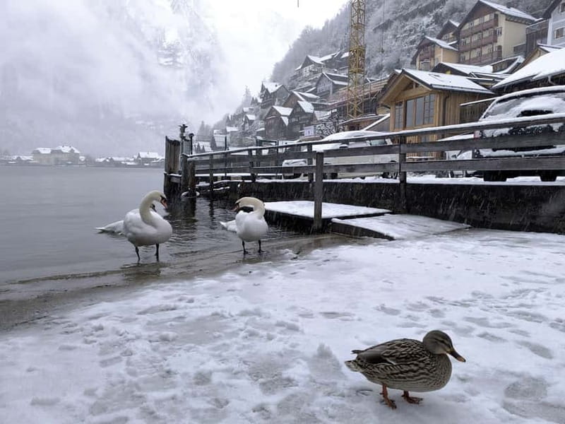 Alpine Beauty & Fairytale Towns: Hallstatt & Salzburg Tour - Why the Hallstatt plus Salzburg Pairing Works So Well