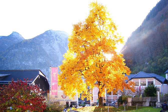 Alpine Hallstatt Day Trip from Vienna incl. Admont Abbey Visit - Ort Castle and Lake Traunsee: The Stop That Can Shift With Traffic