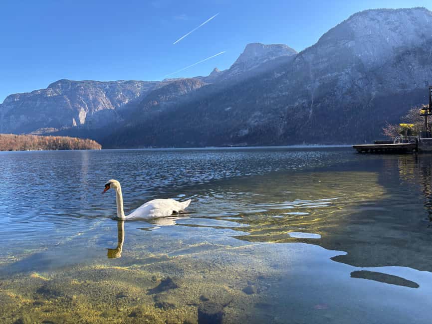 Austria: Hallstatt and Salzburg Day Tour from Vienna - Key highlights at a glance