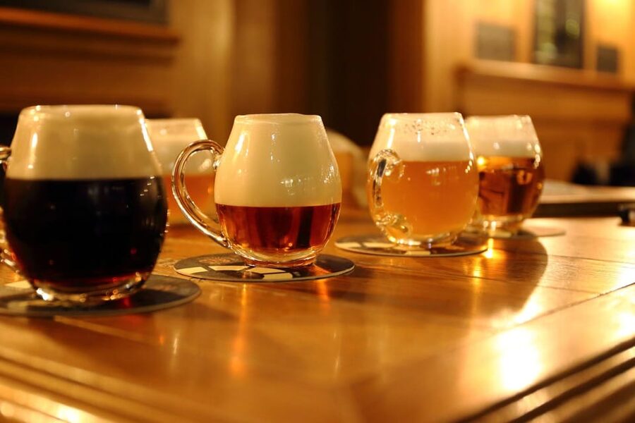 Austrian Beer Tasting and Self-Guided Tour of Vienna - Second Stop: A Famous Beer Hall With Brewing Details You Can Notice