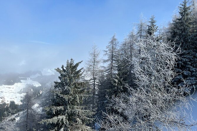 Austrian Hidden Gem Tour: The Most Beautiful Villages - Swarovski Kristallwelten and Wattens: an optional indoor add-on
