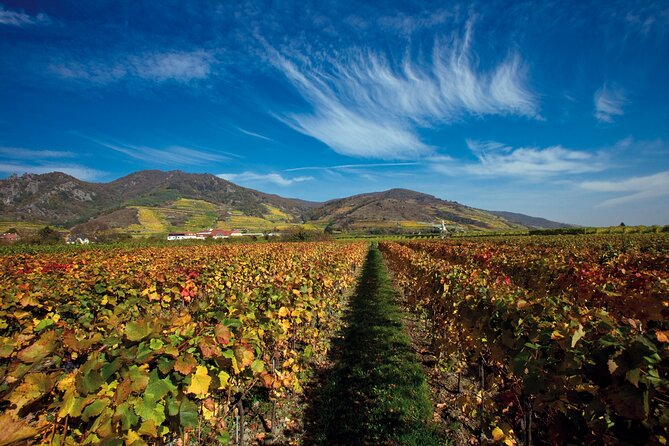 Cesky Krumlov and Wachau Danube Valley Tour from Vienna - Comfort on the Coach, and What You Should Bring