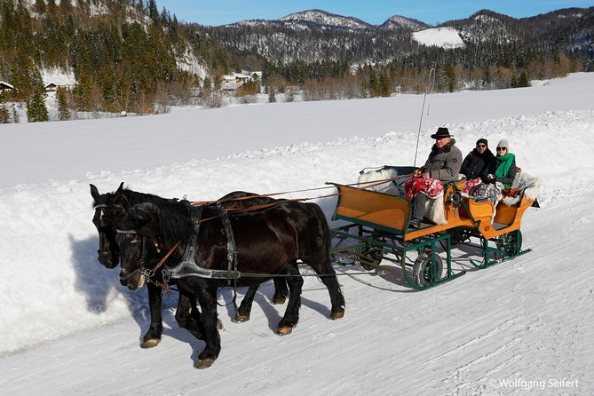 Christmas Horse-Drawn Sleigh/Carriage Ride from Salzburg - The Horse-Drawn Sleigh Ride: Blankets, Bells, and Real Winter Pace