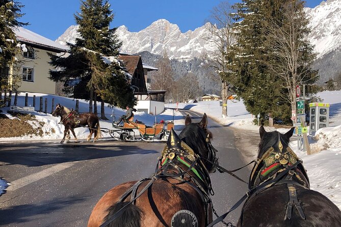 Christmas Horse-Drawn Sleigh/Carriage Ride from Salzburg - The Guide Makes the Day: From Daniel to Walter to Lisa