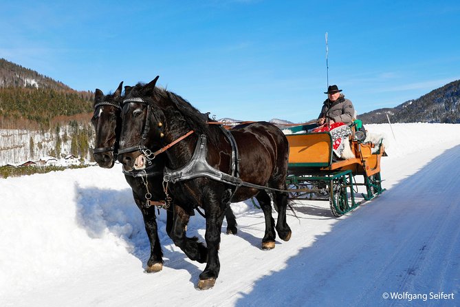 Christmas Horse-Drawn Sleigh/Carriage Ride from Salzburg - Group Size and the Comfort Level of the Day