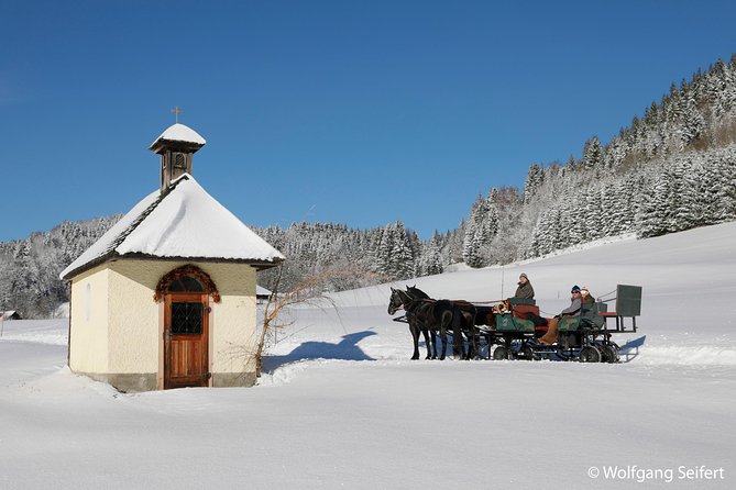 Christmas Horse-Drawn Sleigh/Carriage Ride from Salzburg - The Salzburg Pickup and the Coach Ride You Actually Want