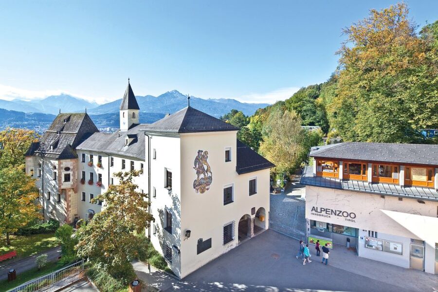 Combi Entrance Ticket to Alpine Zoo and Hungerburg - Key points before you go