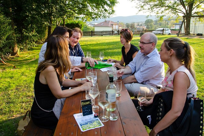 Countryside Half Day Wine Tour near Vienna - Key things to know before you go