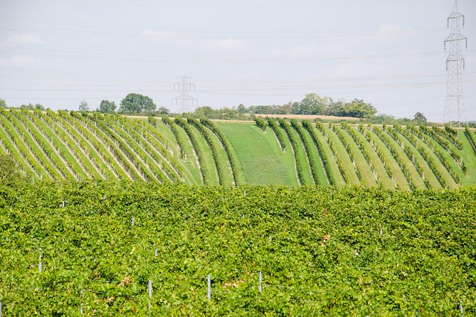 Countryside Half Day Wine Tour near Vienna - Lunch or dinner at the third stop: real Austrian food, not an afterthought