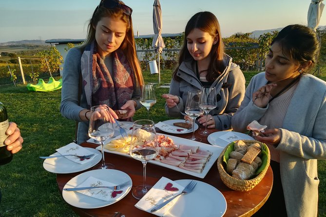 Countryside Half Day Wine Tour near Vienna - Cash, card, and buying bottles: plan like a local wine guest
