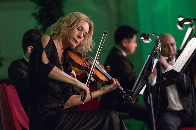 Exclusive Evening at Schönbrunn Palace: After-Hours Audiotour, Dinner, Concert - The Logistics That Can Make or Break the Night, Meeting Point, Heat, and Pace