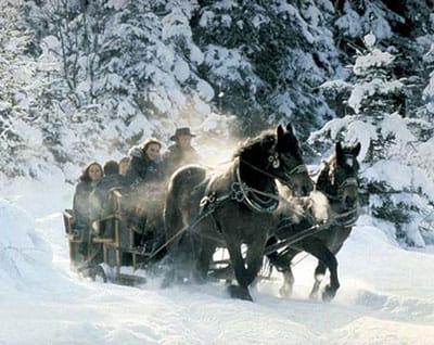 From Salzburg: Ramsau Day Trip with 1-hour Carriage Ride - Key Highlights Worth Getting Excited About