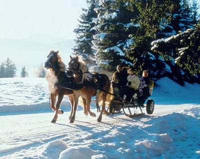 From Salzburg: Ramsau Day Trip with 1-hour Carriage Ride - Winter in Ramsau: Why This Salzburg Day Trip Works