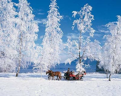From Salzburg: Ramsau Day Trip with 1-hour Carriage Ride - Getting to Ramsau: The Drive That Sets the Tone