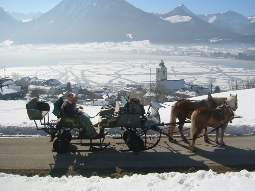 From Salzburg Romantic Carriage Ride through the Countryside - Horse-Drawn Sleigh Through Winter Countryside, Snow or Wheels