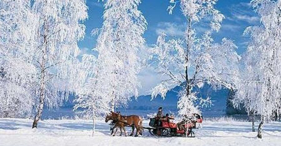 From Salzburg Romantic Carriage Ride through the Countryside - Guides and Drivers Who Turn the Ride Into a Real Story