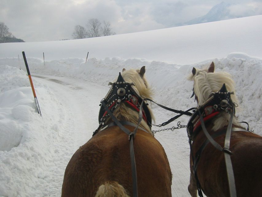 From Salzburg Romantic Carriage Ride through the Countryside - What the $883 Private Price Really Means for You