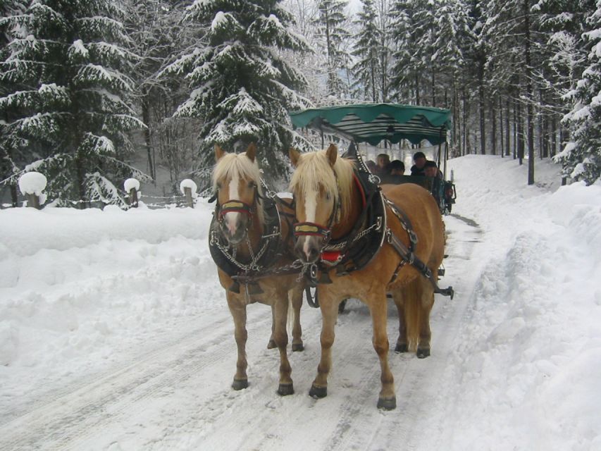 From Salzburg Romantic Carriage Ride through the Countryside - Should You Book This Salzburg Romantic Carriage Ride to St Wolfgang?