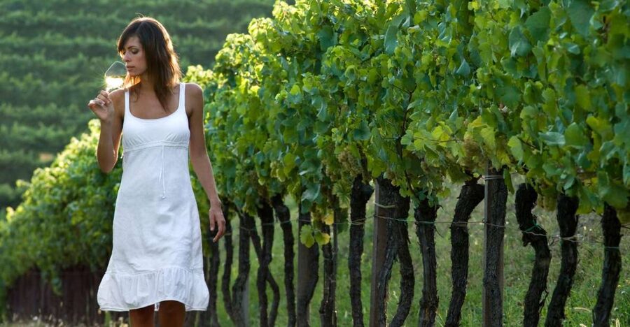 From Vienna: Half-day Countryside Wine Tour with Meal - Stop-by-stop: what each part of the day is really for