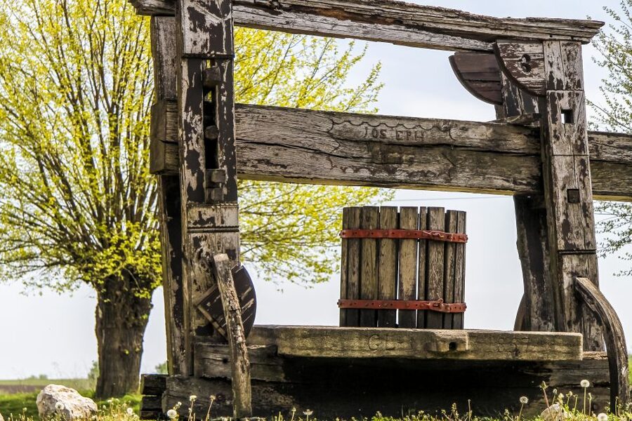 From Vienna: Half-day Countryside Wine Tour with Meal - A few practical tips so you enjoy every tasting
