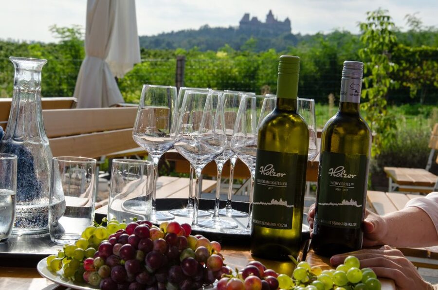 From Vienna: Half-day Countryside Wine Tour with Meal - How the winery tastings are organized (and why it feels better than a bar crawl)