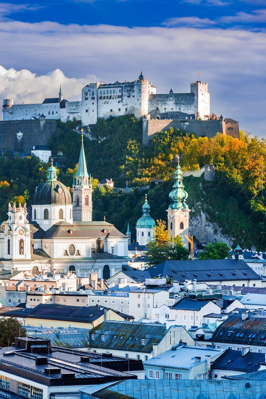 From Vienna: private day trip to Hallstatt and Salzburg - Meet your driver and manage the “English-speaking” expectation