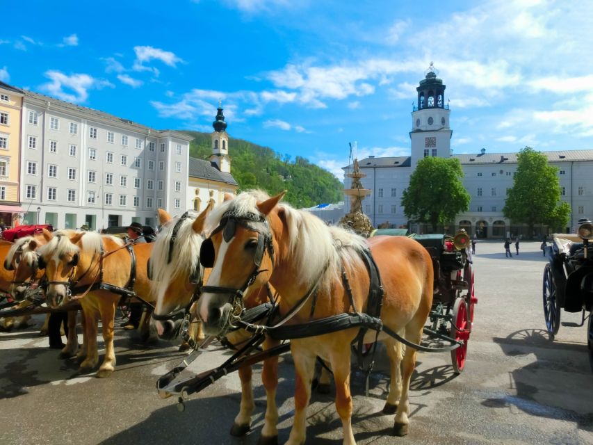 From Vienna: Salzburg Small-Group Guided Day Trip - The Drive, Breaks, and Onboard Comfort (What the Day Feels Like)