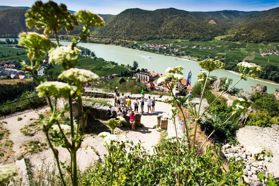 From Vienna: Wachau Valley Day Tour with Wine Tasting - Melk photo stop and Melk Abbey guided tour, depending on dates