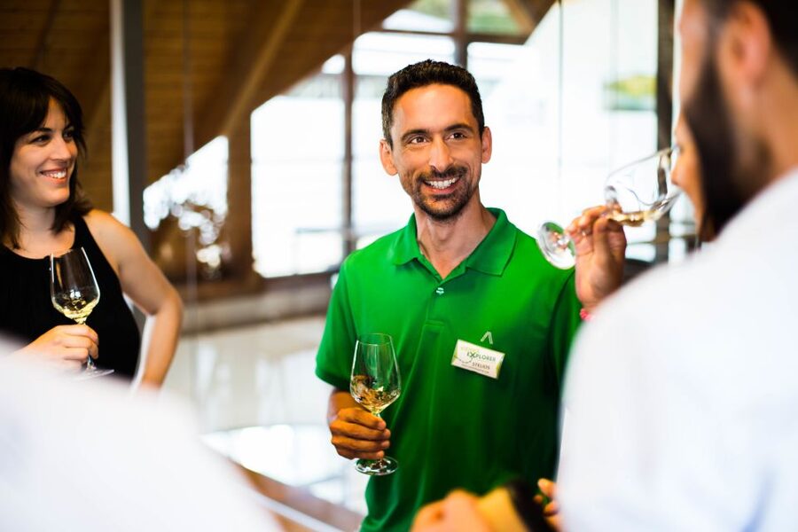 From Vienna: Wachau Valley Day Tour with Wine Tasting - Wine tastings that teach you how to taste Wachau whites
