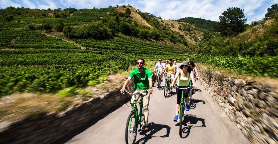 Grape Grazing: Wachau Valley Winery Biking Tour - Why the Wachau Valley works best on two wheels