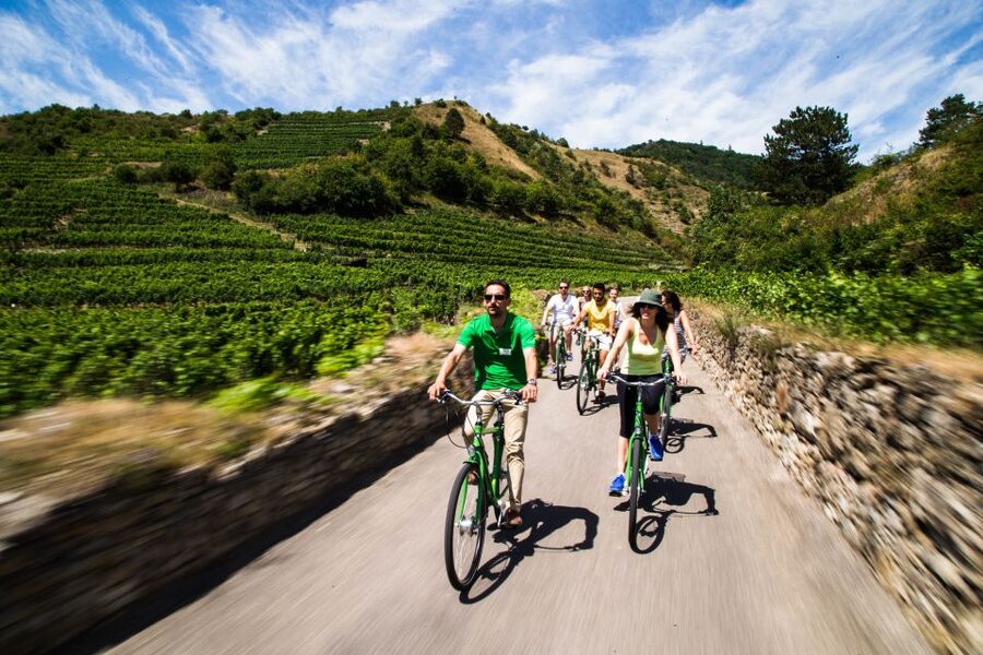 Grape Grazing: Wachau Valley Winery Biking Tour - Krems to Dürnstein: your first bike stretch and first real tasting day