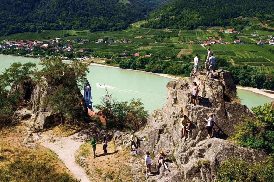 Grape Grazing: Wachau Valley Winery Biking Tour - Danube ferry break and the Rossatz-Arnsdorf winery stop
