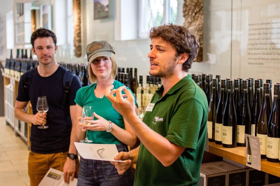 Grape Grazing: Wachau Valley Winery Biking Tour - The wine tastings: what you should expect to taste and how to enjoy it