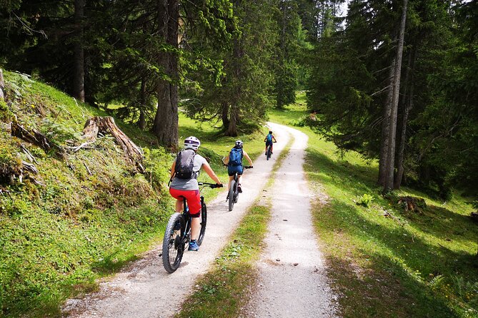 Guided e-bike tour of the alpine pastures in the Salzkammergut - Why Hallstatt to Gosau by e-bike feels like the right kind of outdoors