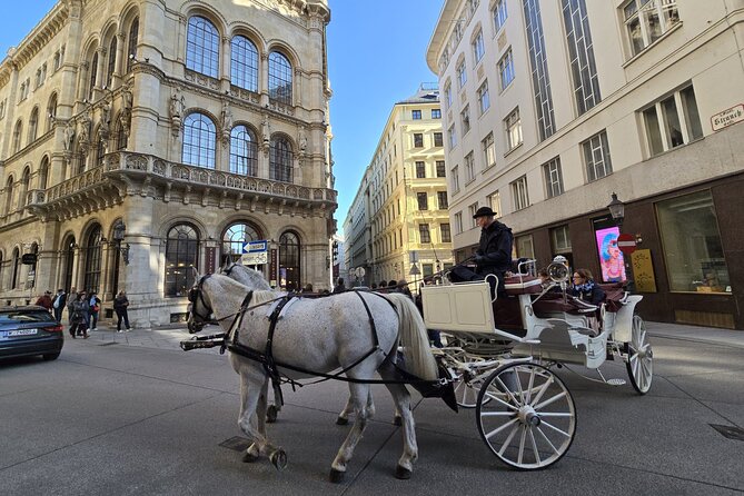 Highlights of Vienna in a Historical & Cultural 3h Walking Tour - Why this Vienna 3-hour walk is a smart first-day plan