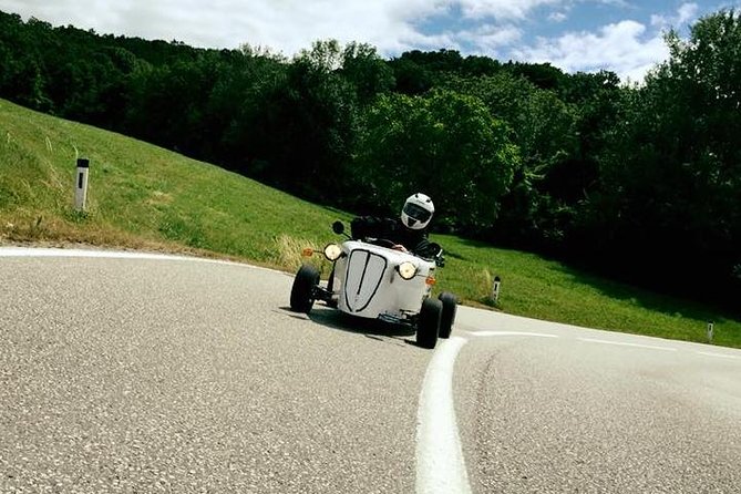 Hotrod Vienna Daylight Tour The most famous & fastest Tour Vienna - Price and what you really get for about $181
