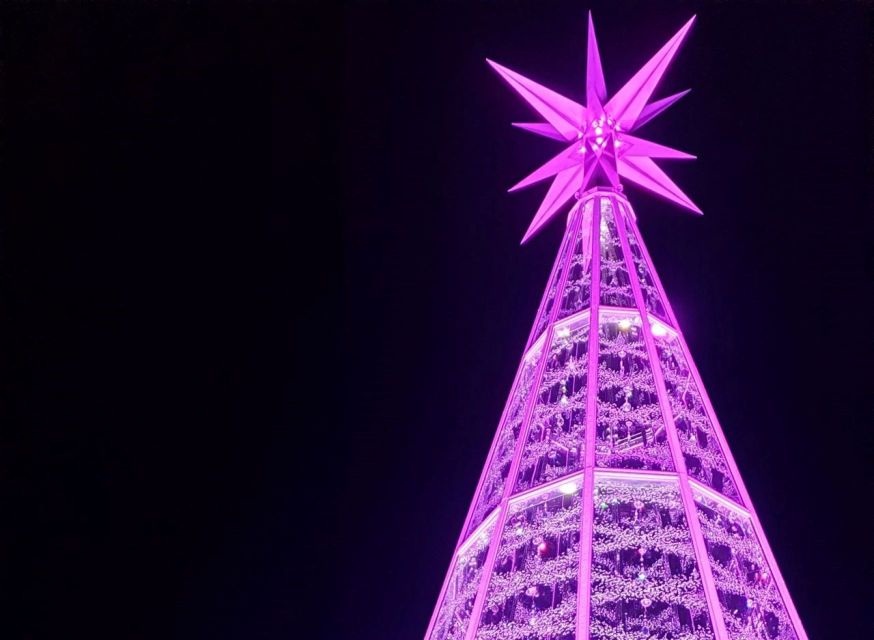Innsbruck: Christmas Tour with a licensed guide - Food and drinks: enjoy the treats, plan your budget