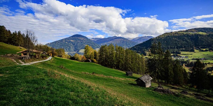 Innsbruck: Panoramic hike over the Telfer Wiesen - The Hike Itself: Wide Paths, Forest-to-Meadow Views