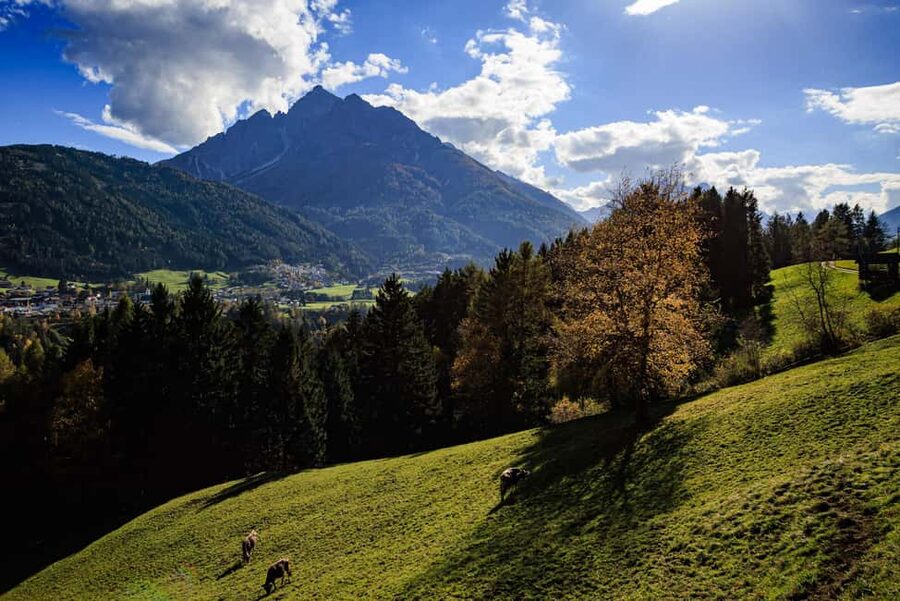 Innsbruck: Panoramic hike over the Telfer Wiesen - Off-the-Beaten-Track in a Smart Way: Nature Notes and Photo Timing