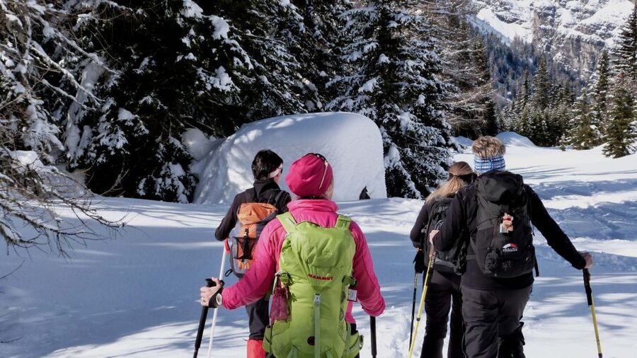 Innsbruck: Priv. Guided Snowy Mountain Hike /Snowshoe´s - Key moments to look forward to