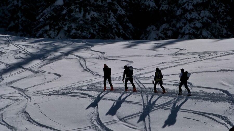 Innsbruck: Priv. Guided Snowy Mountain Hike /Snowshoe´s - Patscheralm and Boscheben: where the hike turns into a break, not a grind