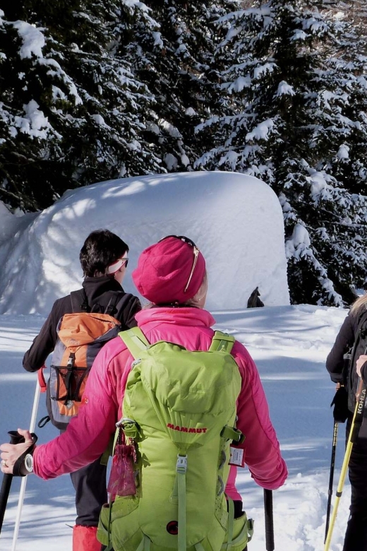 Innsbruck: Priv. Guided Snowy Mountain Hike /Snowshoe´s - Franco and the art of a route that fits your day