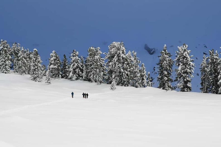 Innsbruck: Snowshoe Tours with Tyrolean Guide Transfer inkl. - Inn Valley Snowshoeing Makes Innsbruck Feel Bigger Than a City Break