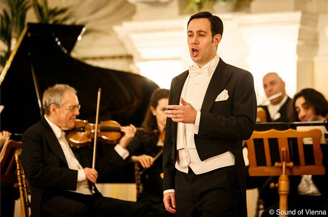 Kursalon Vienna: Strauss and Mozart Concert With Dinner - Who should book this night, and who should skip dinner