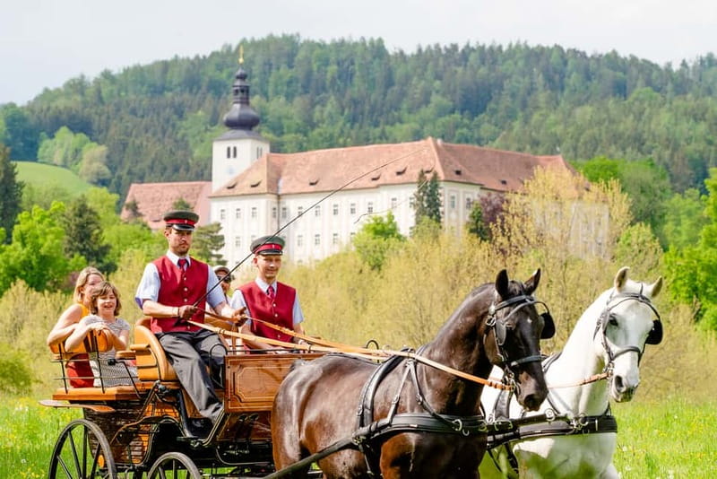 Lipizzaner Stud Piber: Guided Tour - The Guided Stud Tour: How Care, Breeding, and Routine Fit Together