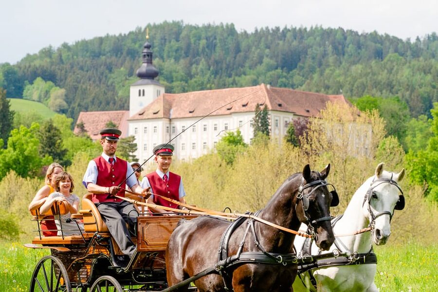 Lipizzaner Stud Piber: Guided Tour - Museum and Cinema: Turning Animal Watching Into Understanding