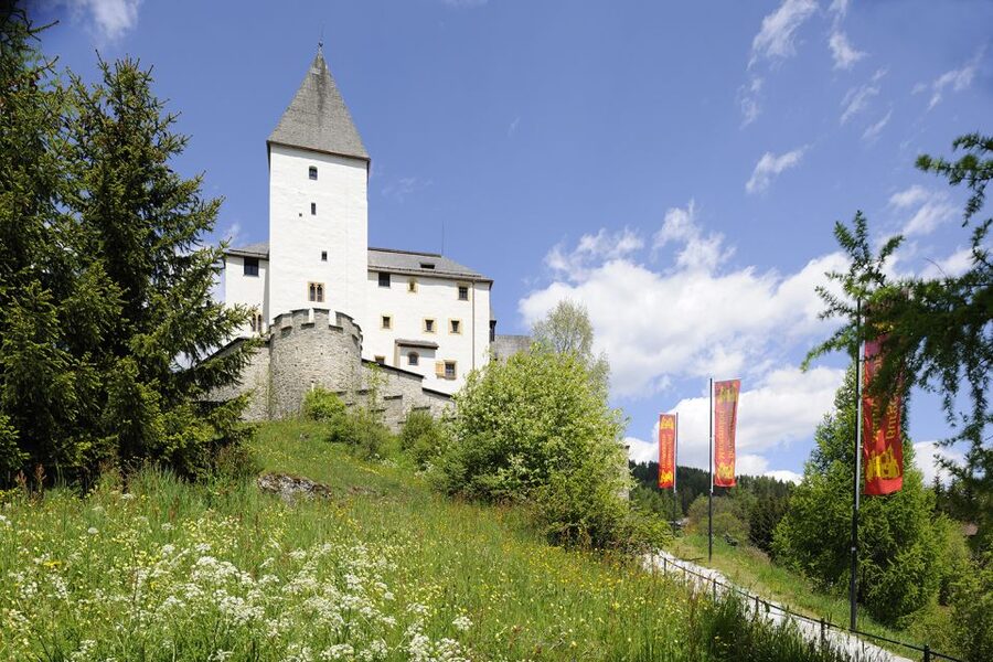 Mauterndorf: Castle Entrance Ticket - Meeting Archbishop Leonhard von Keutschach in Person